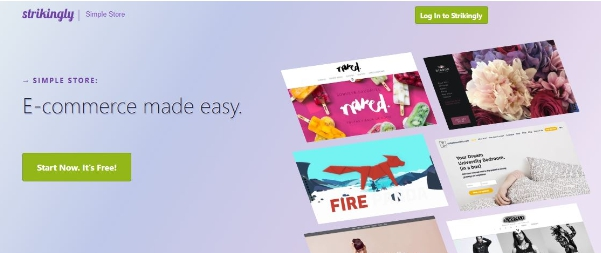 寵物網站架設平台 寵物網站架設平台